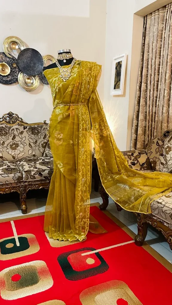 This is a Picture of a Dhakai Jamdani Saree. There are multiple designs woven in the Saree known as 'Motifs'.