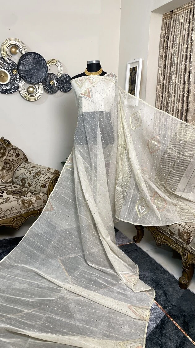 This is a Picture of a Dhakai Jamdani Saree. There are multiple designs woven in the Saree known as 'Motifs'.